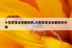 <b>小型家用玉米磨粉机,小型家用玉米磨粉机价格</b>