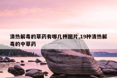 清热解毒的草药有哪几种图片,19种清热解毒的中草药