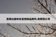 <b>奥朗达磨粉机是德国品牌吗,奥朗德公司</b>