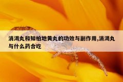 <b>消渴丸和知柏地黄丸的功效与副作用,消渴丸与什么药合吃</b>