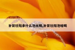 补肾壮阳拿什么泡水喝,补肾壮阳泡啥喝