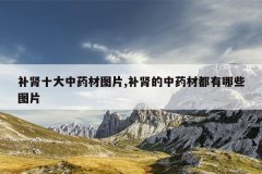 <b>补肾十大中药材图片,补肾的中药材都有哪些图片</b>