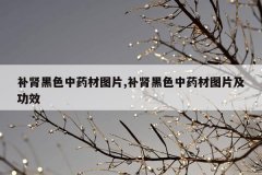 补肾黑色中药材图片,补肾黑色中药材图片及功效