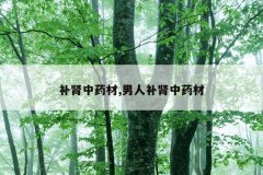 <b>补肾中药材,男人补肾中药材</b>