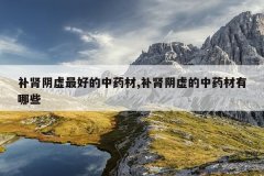 <b>补肾阴虚最好的中药材,补肾阴虚的中药材有哪些</b>