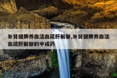 补肾健脾养血活血疏肝解郁,补肾健脾养血活血疏肝解郁的中成药