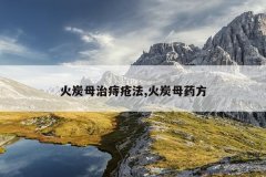 火炭母治痔疮法,火炭母药方