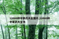 12000种中草药大全图片,12000种中草药大全书