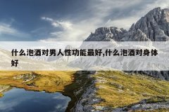 什么泡酒对男人性功能最好,什么泡酒对身体好