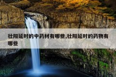 <b>壮阳延时的中药材有哪些,壮阳延时的药物有哪些</b>