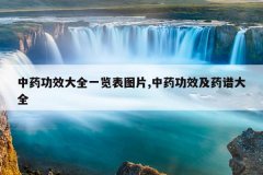 <b>中药功效大全一览表图片,中药功效及药谱大全</b>