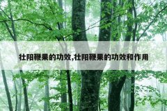 壮阳鞭果的功效,壮阳鞭果的功效和作用