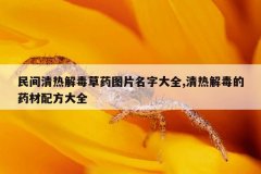 民间清热解毒草药图片名字大全,清热解毒的药材配方大全