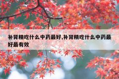 <b>补肾精吃什么中药最好,补肾精吃什么中药最好最有效</b>