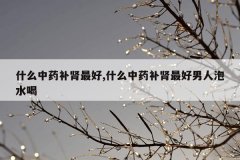什么中药补肾最好,什么中药补肾最好男人泡水喝
