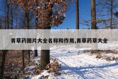青草药图片大全名称和作用,青草药草大全