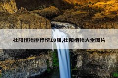 壮阳植物排行榜10强,壮阳植物大全图片