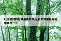<b>壮阳最好的见效最快的中药,壮阳效果最好的中药是什么</b>