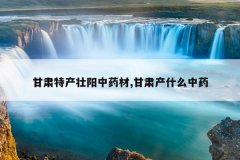 甘肃特产壮阳中药材,甘肃产什么中药