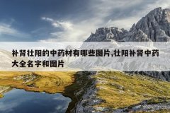 <b>补肾壮阳的中药材有哪些图片,壮阳补肾中药大全名字和图片</b>