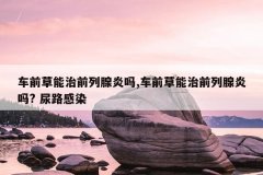 <b>车前草能治前列腺炎吗,车前草能治前列腺炎吗? 尿路感染</b>