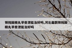 <b>锁阳固精丸早些泄能治好吗,河北扁鹊锁阳固精丸早些泄能治好吗</b>