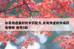 <b>补肾阴虚最好的中药配方,补肾阴虚的中成药有哪些 推荐5款</b>