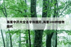 海里中药大全名字和图片,海里100种植物图片