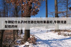 <b>牛鞭配什么药材泡酒壮阳效果最好,牛鞭浸酒配搭药材</b>