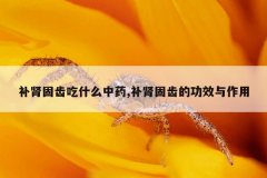<b>补肾固齿吃什么中药,补肾固齿的功效与作用</b>