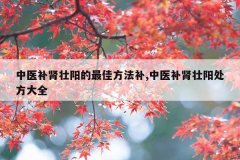 中医补肾壮阳的最佳方法补,中医补肾壮阳处方大全
