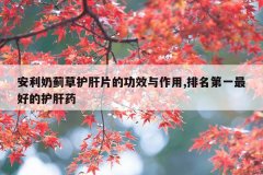 <b>安利奶蓟草护肝片的功效与作用,排名第一最好的护肝药</b>