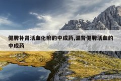 健脾补肾活血化瘀的中成药,温肾健脾活血的中成药