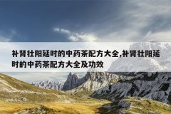 <b>补肾壮阳延时的中药茶配方大全,补肾壮阳延时的中药茶配方大全及功效</b>