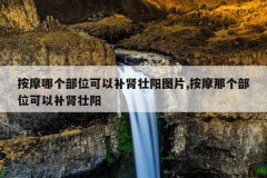 按摩哪个部位可以补肾壮阳图片,按摩那个部位可以补肾壮阳