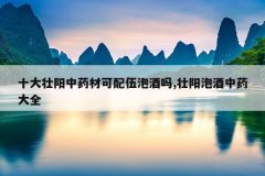 十大壮阳中药材可配伍泡酒吗,壮阳泡酒中药大全