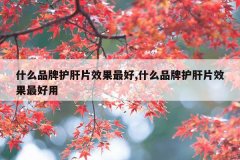 什么品牌护肝片效果最好,什么品牌护肝片效果最好用