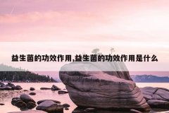 <b>益生菌的功效作用,益生菌的功效作用是什么</b>