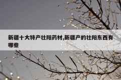 <b>新疆十大特产壮阳药材,新疆产的壮阳东西有哪些</b>